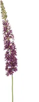 Emerald kunsttak eremurus 130cm paars - thumbnail