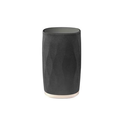 Bowers & Wilkins Formation Flex Zwart, Goud Draadloos Bowers & Wilkins Formation Flex Zwart, Goud Draadloos