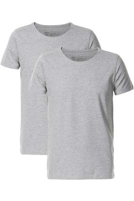 Petrol Industries / t-shirt Basic R-Neck 2-Pack in grijs