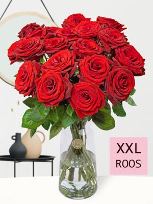 20 rode rozen - XXL rozen - Red Bentley