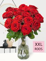 20 rode rozen - XXL rozen - Red Bentley - thumbnail