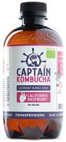 The GUTsy Captain Kombucha Raspberry - thumbnail