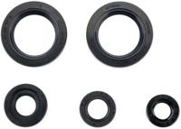 ATHENA motor-keerring set motorshield ktm - thumbnail