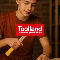 Toolland hamer met houten handgreep, 300 g - thumbnail