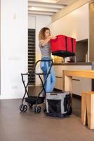 Winkelwagen Carlett CUBE S RUBY Rood - thumbnail