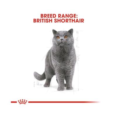 ROYAL CANIN British Shorthair FBN Adult - droog kattenvoer - 400g