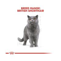 ROYAL CANIN British Shorthair FBN Adult - droog kattenvoer - 400g - thumbnail