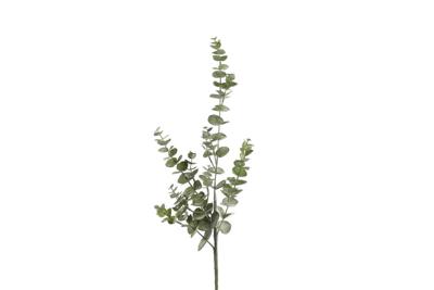 Eucalyptus zd l81.28b10h10cm groen Countryfield - Countryfield Eucalyptus zd l81.28b10h10cm groen Countryfield - Countryfield