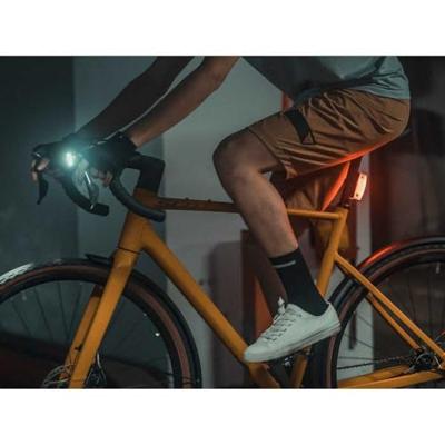 TOPEAK Redlite 80