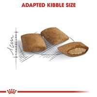 Royal Canin C-584987 AGE +12-2 kg - thumbnail