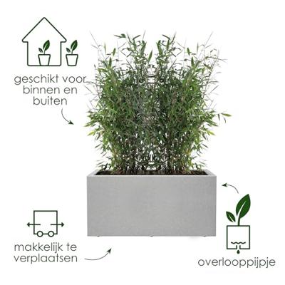 Elho vivo next plantenbak met wielen 60cm living concrete