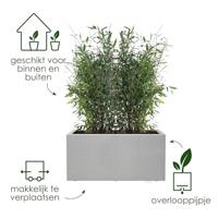 Elho vivo next plantenbak met wielen 60cm living concrete - thumbnail