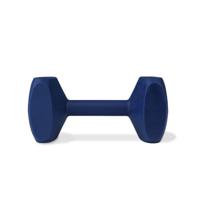 Dumbbell Coachi TRAINING DUMBBELL Blauw - thumbnail
