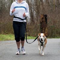 Jogging heupriem met lijn Per stuk - thumbnail
