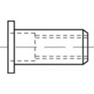 TOOLCRAFT TO-5444238 Popmoer M6 Staal 250 stuk(s)