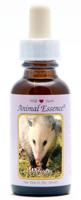 Animal Essences Opossum (buidelrat) 30 Milliliter - thumbnail