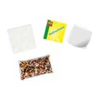 Ses strijkkralen - wilde paarden - thumbnail