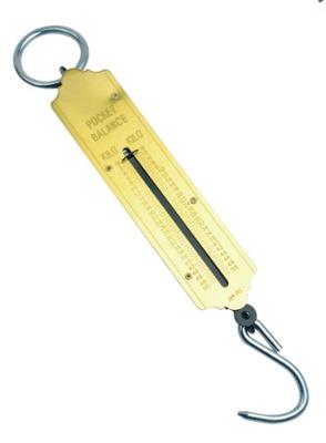 Brüder Mannesmann Unster 150 kg (Hobby) - 813-150