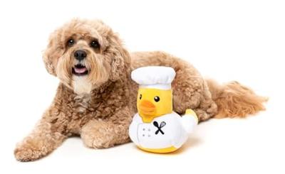 Fuzzyard duck gordon quacksay pluche