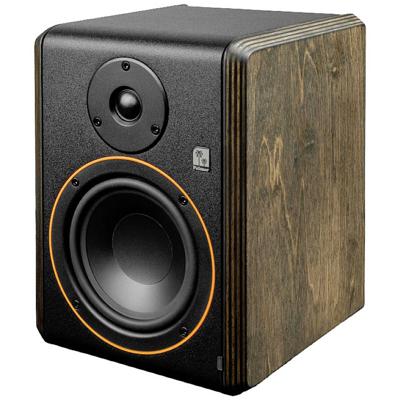 Palmer STUDIMON 5 actieve studiomonitor 5 inch
