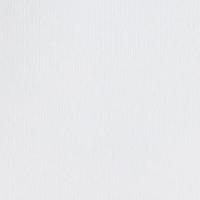 Kopieerpapier papicolor a4 100gr wit - thumbnail