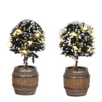 Luville General Buxus tree in a barrel 2 pieces - thumbnail