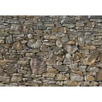 Komar fotobehang stone wall 368x254 cm 8-727 - thumbnail