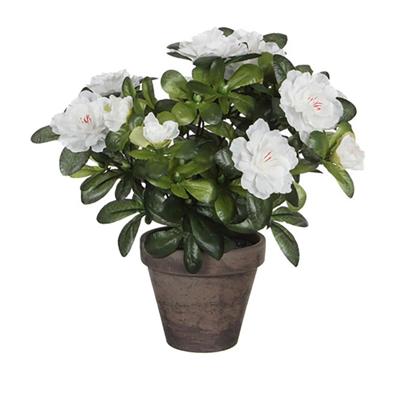 Decoratieve plant Mica Decorations 11,5 x 27 x 20 cm