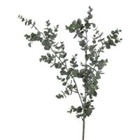 Kunstblad Eucalypthus donker grijs - thumbnail