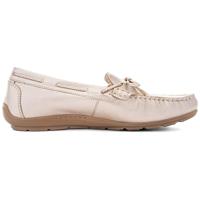 Ara 1219212 - alle - thumbnail