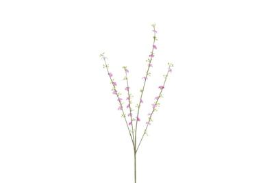 Decostar Cytisus 108 cm oud roze