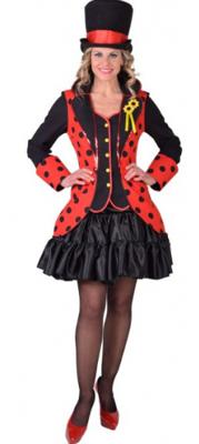 Slipjas kever - lieveheersbeestje