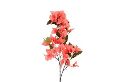 Decostar Bougianvillea Kreta 77 cm roze