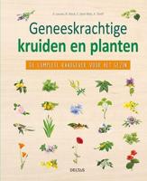 Dominique Lousse Geneeskrachtige kruiden en planten - Nederlands - thumbnail