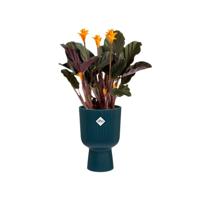 Elho Vibes fold couppe 14 deep blue - thumbnail