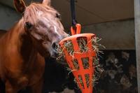 Hay Slowfeeder Fun and Flex 22 cm Oranje Wortel - thumbnail