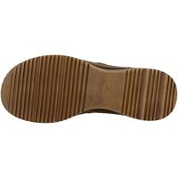 Ara 1229003 - alle - thumbnail