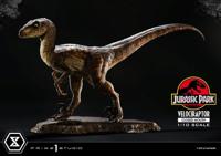 Jurassic Park Prime Collectibles Statue 1/10 Velociraptor Closed Mouth 19 cm - thumbnail