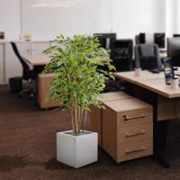 Ficus Exotica deluxe kunstplant 125cm - bont - thumbnail