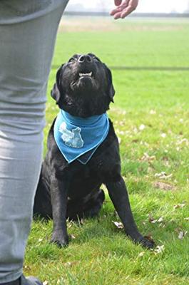 Coolpets cooling bandana hond S 30x30cm