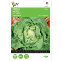 Zaden Kropsla Appia Buzzy - Buzzy - thumbnail