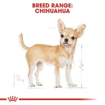 ROYAL CANIN Chihuahua - pak 12x85g - thumbnail
