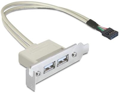 DELOCK Slotplaat - USB 2.0 2xPort Low Profile
