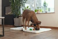 Beeztees hondenspeelgoed Eend pluche 36x25,5x9 cm - thumbnail