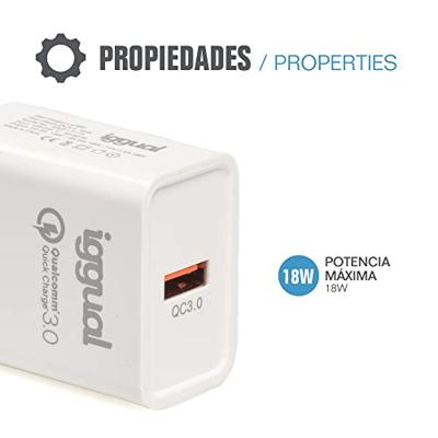 Oplader iggual IGG317174