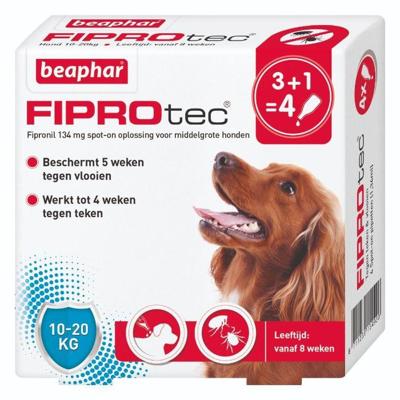 Beaphar fiprotec hond tegen teken en vlooien