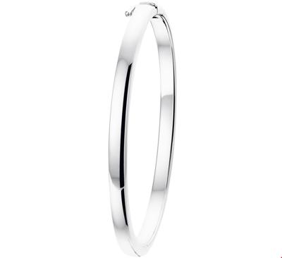 TFT Armband bangle zilver met scharnier bolle buis 4 x 60 mm TFT Armband bangle zilver met scharnier bolle buis 4 x 60 mm