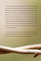 Chinezen gekwetst in Oost en West (Paperback) - thumbnail