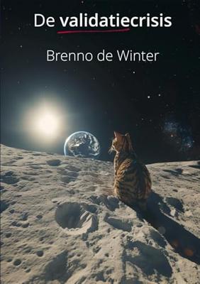 De validatiecrisis - Brenno de Winter - ebook