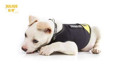 IDC Neoprene Honden Jas - Maat XL IDC Neoprene Honden Jas - Maat XL